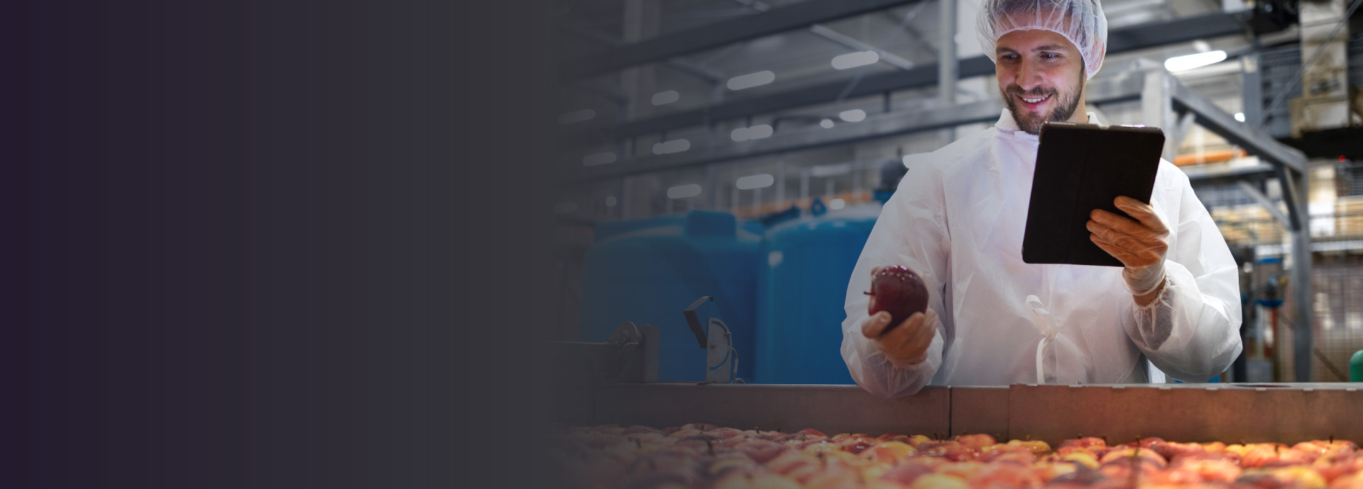 aggiornamento software haccp